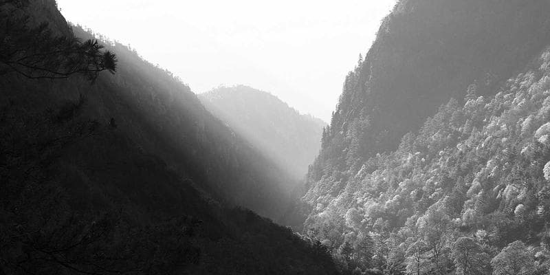 Výsledky hospodaření: KB překonala očekávání