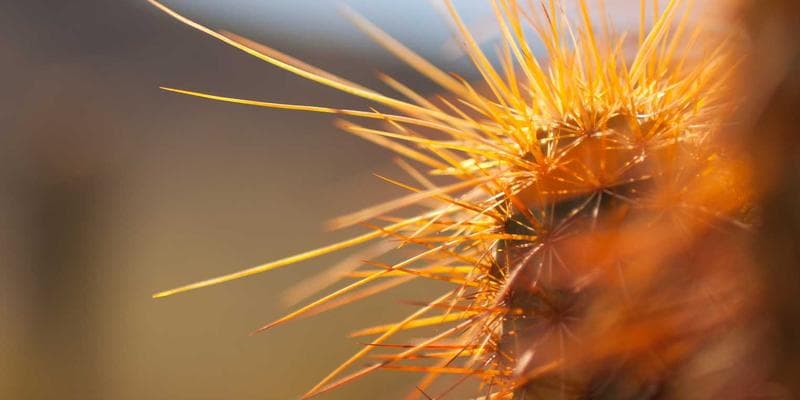 Čínská ekonomika zpomaluje více než se čekalo