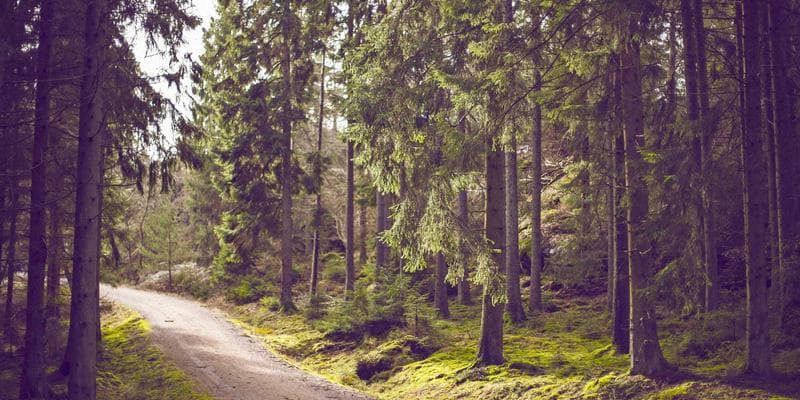 Bitcoiny překonaly hranici 45 000 dolarů