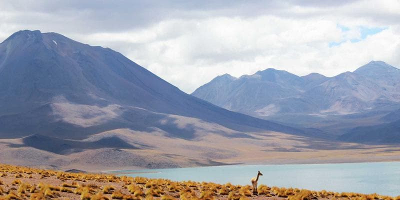 Výsledky hospodaření: KB překonala očekávání