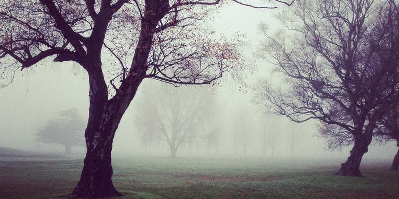 Evropské akcie zahájily obchodování v zeleném