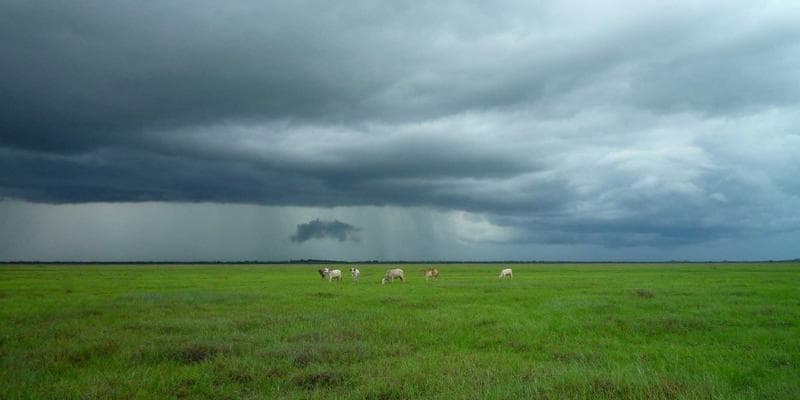 Polská zlotá zaznamenala prudký pád