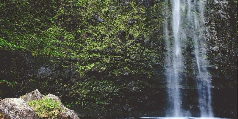 Evropské akcie zahájily obchodování v zeleném