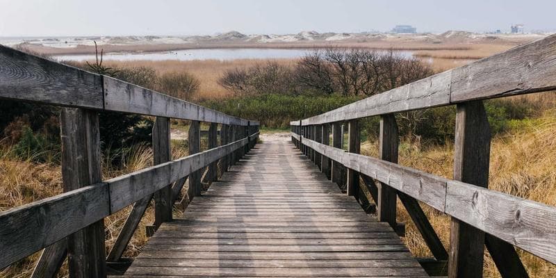 Cena ropy Brent klesla pod 80 dolarů za barel