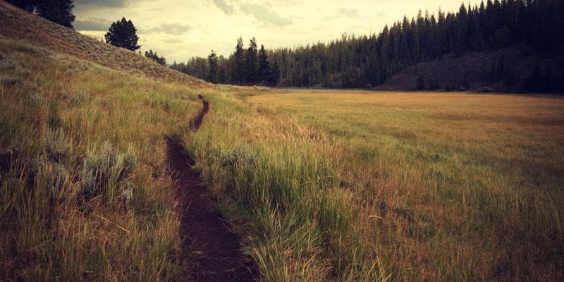 Polská zlotá zaznamenala prudký pád