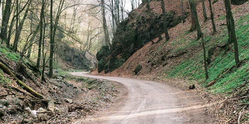 Analytici doporučují nákup akcií Erste Bank