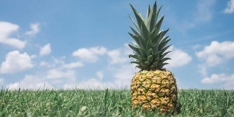 Polská zlotá zaznamenala prudký pád