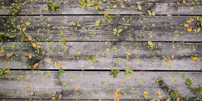 Cena ropy Brent klesla pod 80 dolarů za barel