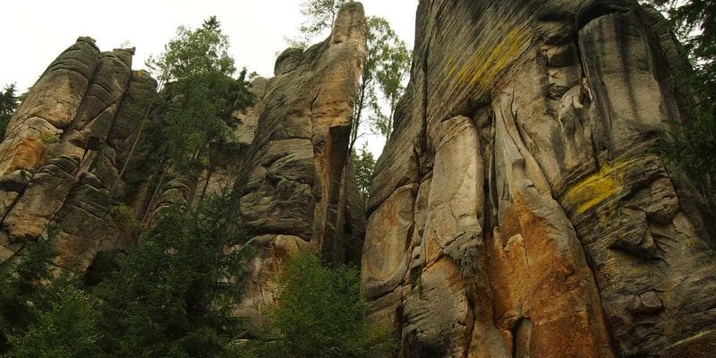 Analytici doporučují nákup akcií Erste Bank