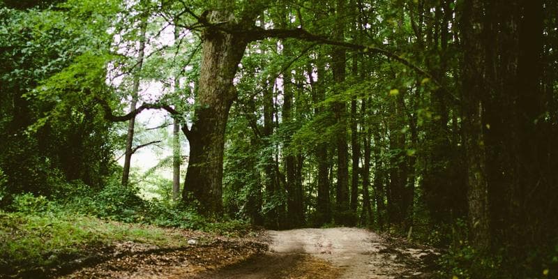 Energetická krize tlačí ceny vzhůru