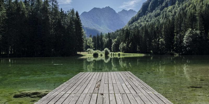 Dividendová sezóna začíná, komu se vyplatí investovat