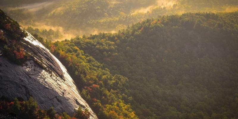 Bitcoiny překonaly hranici 45 000 dolarů