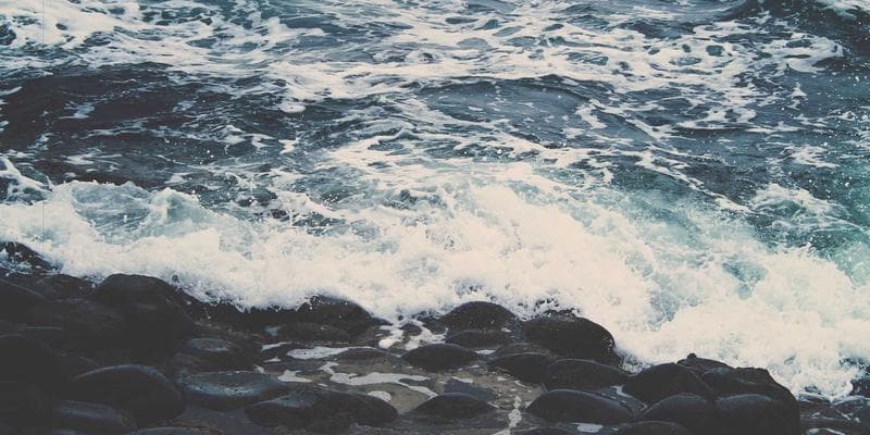 IPO společnosti Allegro láká investory