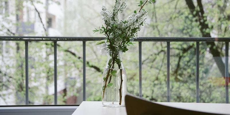 Evropské akcie zahájily obchodování v zeleném