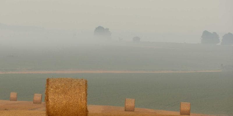 Koruna posílila vůči euru na 24,50 CZK/EUR