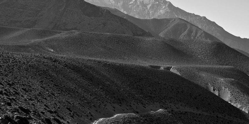 Technologické akcie vedou rally na Wall Street