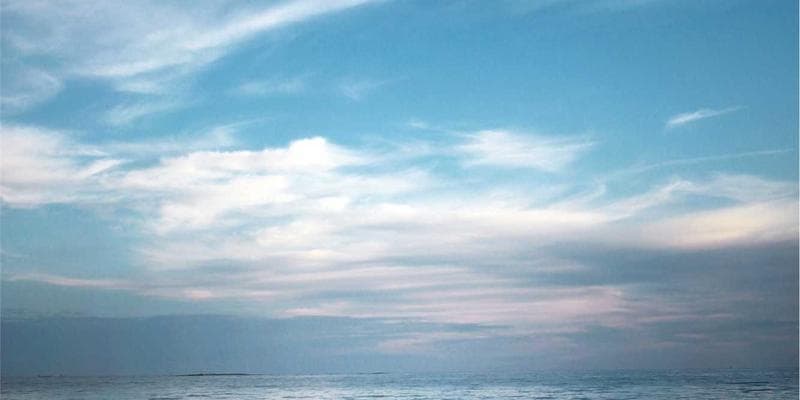 Polská zlotá zaznamenala prudký pád