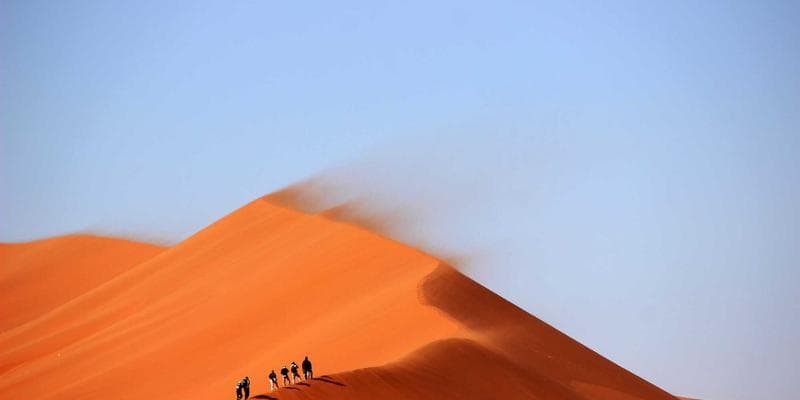 Technologické akcie vedou rally na Wall Street