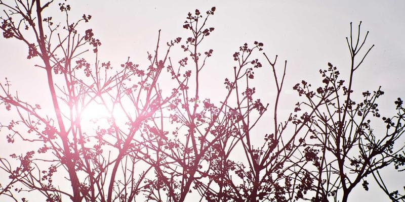 IPO společnosti Allegro láká investory