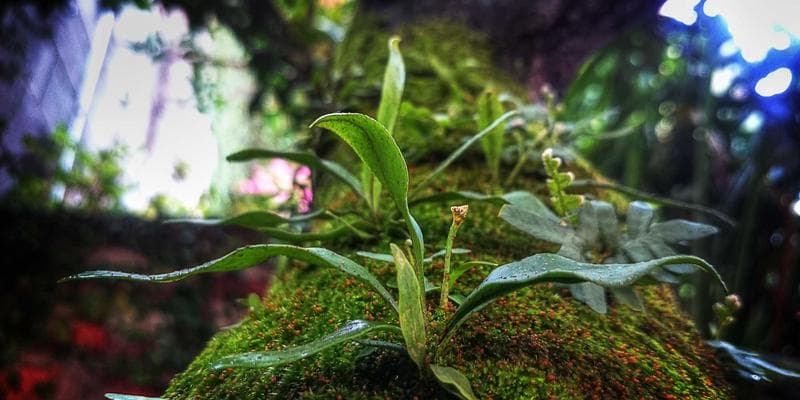 Analytici doporučují nákup akcií Erste Bank