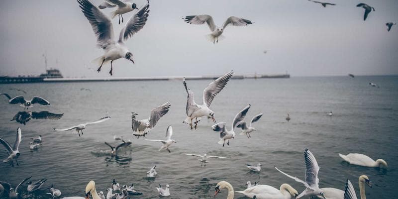 Čínská ekonomika zpomaluje více než se čekalo