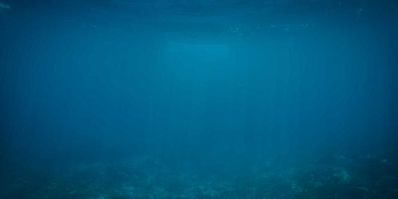 Polská zlotá zaznamenala prudký pád