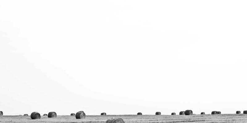 Evropské akcie zahájily obchodování v zeleném