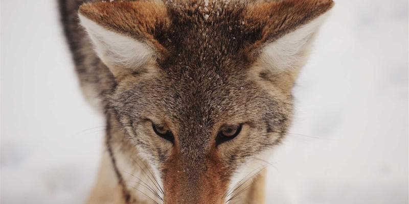 Index PX dosáhl ročního maxima