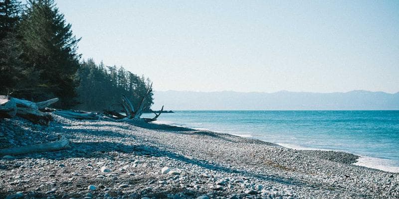 Index PX dosáhl ročního maxima