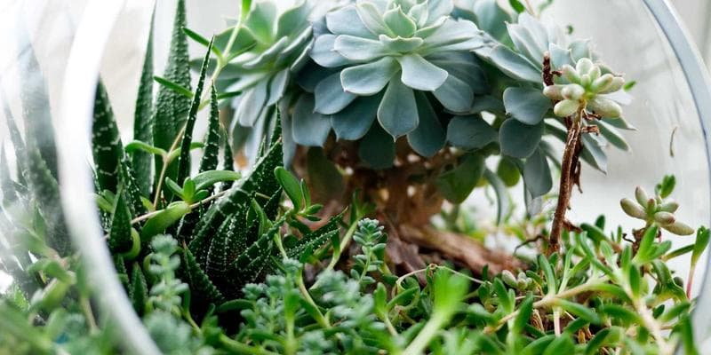 Čínská ekonomika zpomaluje více než se čekalo