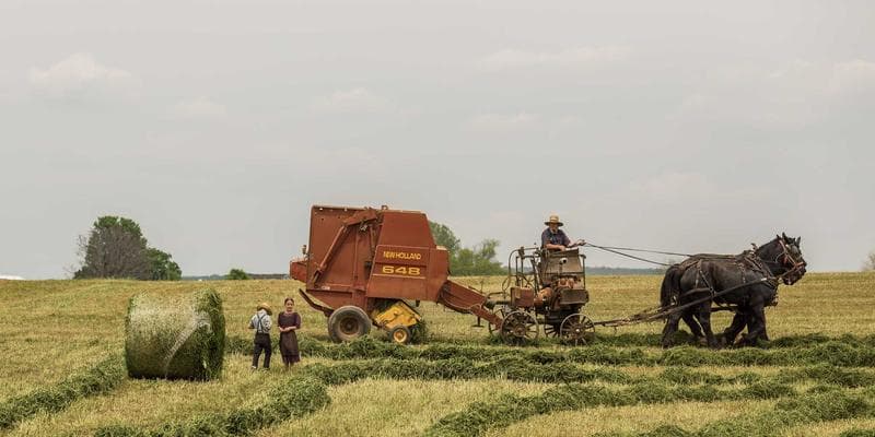 Polská zlotá zaznamenala prudký pád