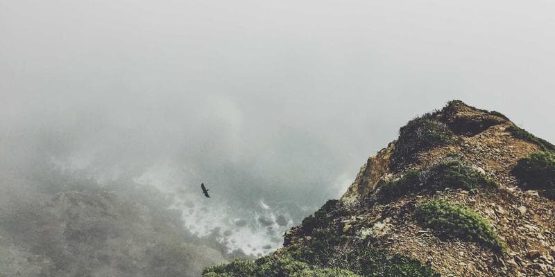 Výsledky hospodaření: KB překonala očekávání