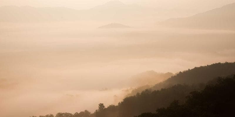 IPO společnosti Allegro láká investory