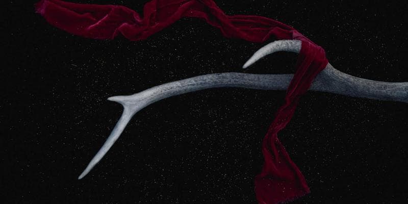 Bitcoiny překonaly hranici 45 000 dolarů