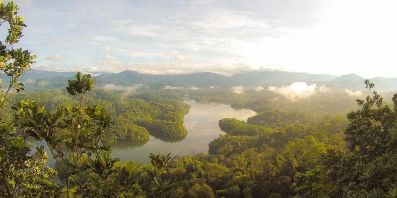 Deutsche Bank zvyšuje cílovou cenu pro Monetu