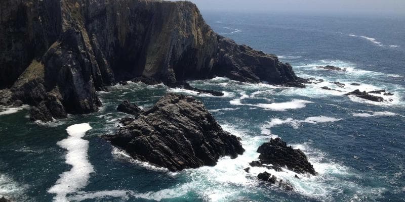 Polská zlotá zaznamenala prudký pád