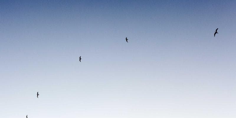 Cena ropy Brent klesla pod 80 dolarů za barel