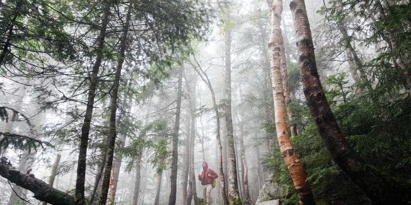 Bitcoiny překonaly hranici 45 000 dolarů