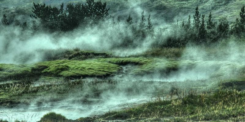 IPO společnosti Allegro láká investory