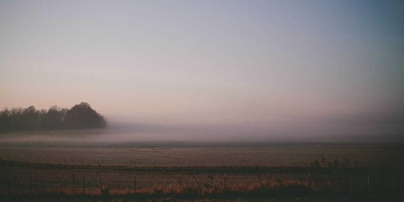 IPO společnosti Allegro láká investory