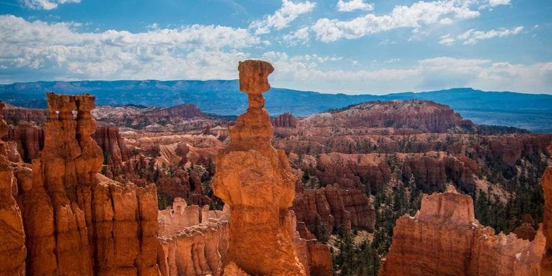 Technologické akcie vedou rally na Wall Street