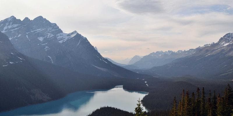 Dividendová sezóna začíná, komu se vyplatí investovat