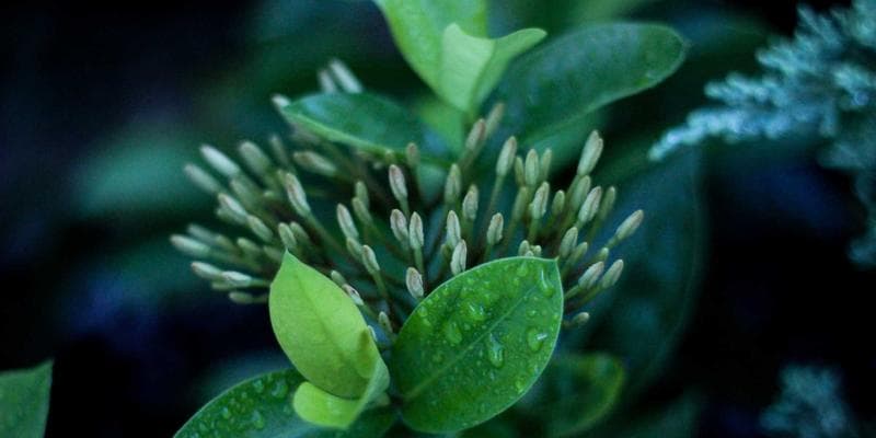 ECB signalizuje další zvyšování sazeb