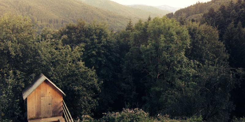 Analytici doporučují nákup akcií Erste Bank