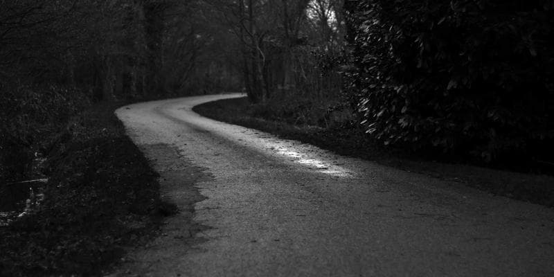 Index PX dosáhl ročního maxima