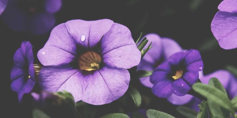 Čínská ekonomika zpomaluje více než se čekalo