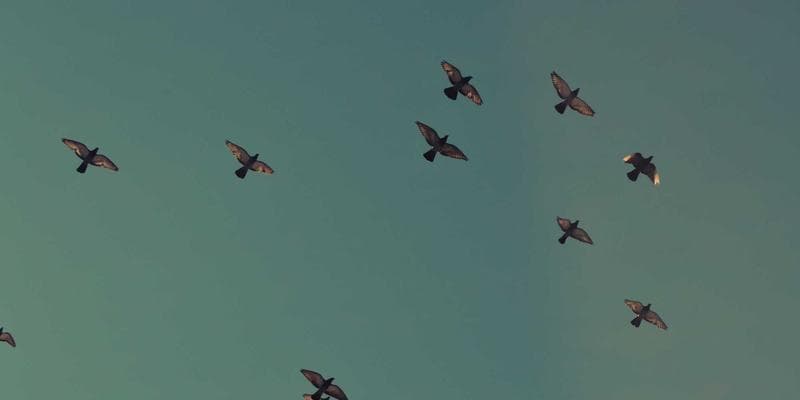 Zlatá horečka pokračuje, cena překonala 2000 USD