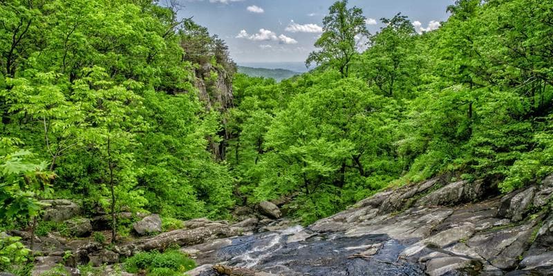 Výsledky hospodaření: KB překonala očekávání