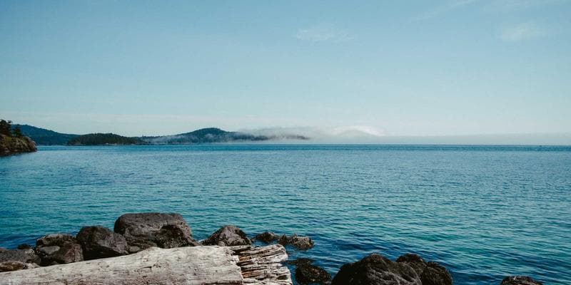 Analytici doporučují nákup akcií Erste Bank