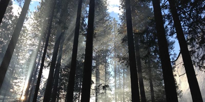 Fed ponechává úrokové sazby beze změny